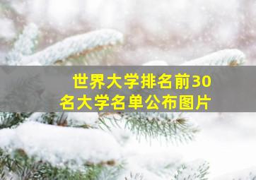 世界大学排名前30名大学名单公布图片