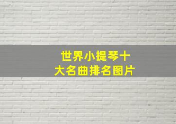 世界小提琴十大名曲排名图片