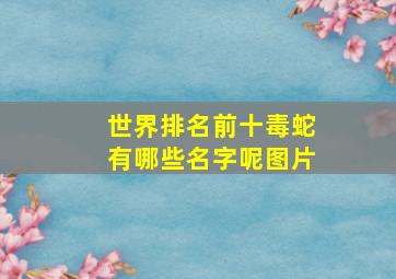 世界排名前十毒蛇有哪些名字呢图片