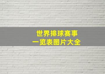 世界排球赛事一览表图片大全