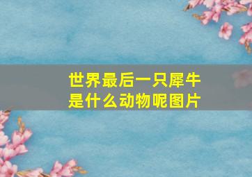 世界最后一只犀牛是什么动物呢图片