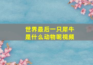 世界最后一只犀牛是什么动物呢视频