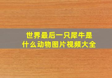 世界最后一只犀牛是什么动物图片视频大全