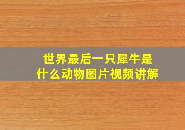 世界最后一只犀牛是什么动物图片视频讲解