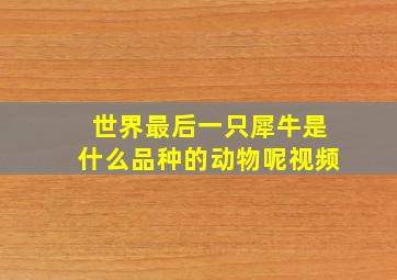 世界最后一只犀牛是什么品种的动物呢视频