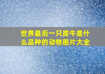 世界最后一只犀牛是什么品种的动物图片大全