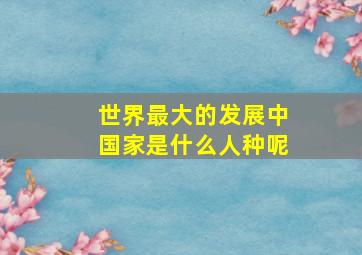 世界最大的发展中国家是什么人种呢