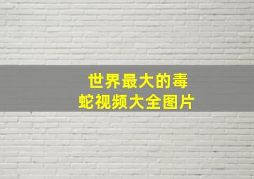 世界最大的毒蛇视频大全图片