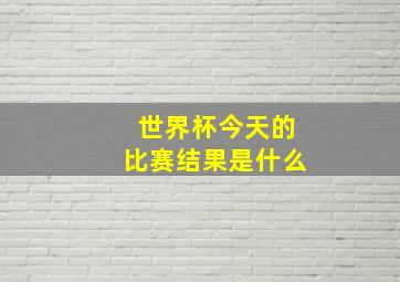 世界杯今天的比赛结果是什么