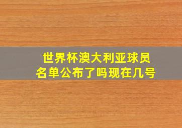 世界杯澳大利亚球员名单公布了吗现在几号