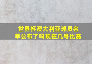 世界杯澳大利亚球员名单公布了吗现在几号比赛