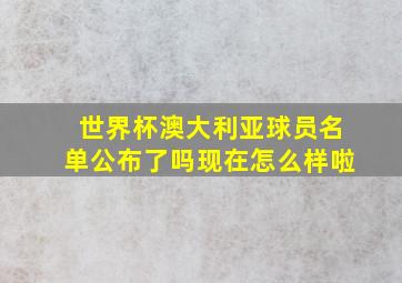 世界杯澳大利亚球员名单公布了吗现在怎么样啦