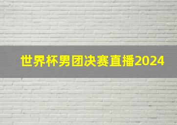 世界杯男团决赛直播2024