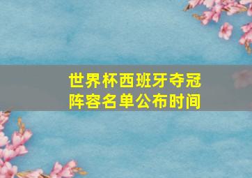 世界杯西班牙夺冠阵容名单公布时间