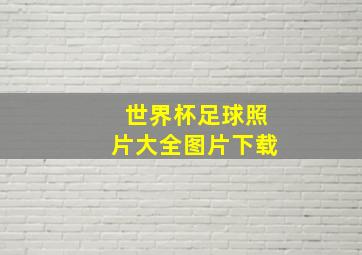 世界杯足球照片大全图片下载