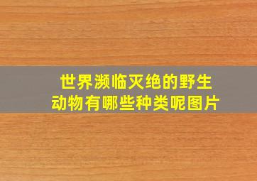 世界濒临灭绝的野生动物有哪些种类呢图片