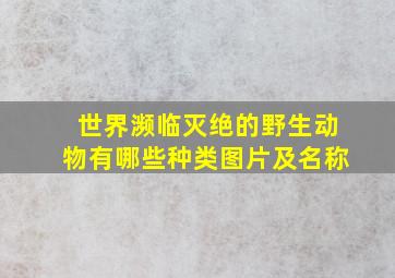 世界濒临灭绝的野生动物有哪些种类图片及名称