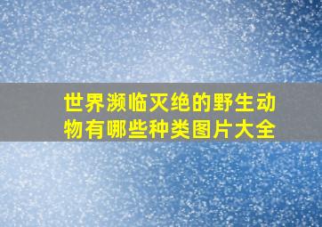 世界濒临灭绝的野生动物有哪些种类图片大全