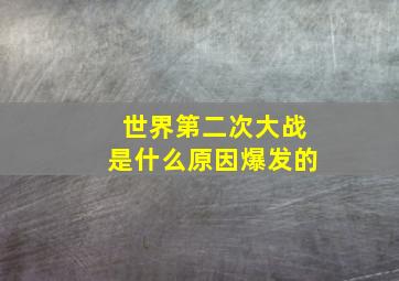 世界第二次大战是什么原因爆发的