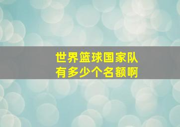 世界篮球国家队有多少个名额啊