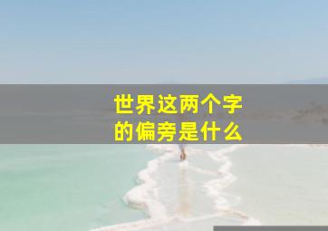 世界这两个字的偏旁是什么