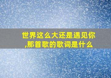 世界这么大还是遇见你,那首歌的歌词是什么