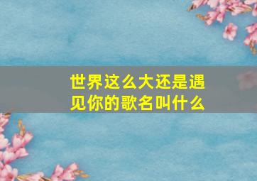 世界这么大还是遇见你的歌名叫什么