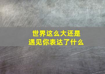 世界这么大还是遇见你表达了什么