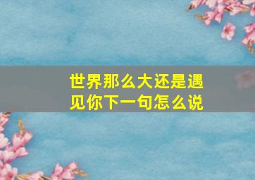 世界那么大还是遇见你下一句怎么说