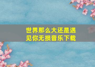 世界那么大还是遇见你无损音乐下载