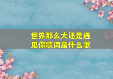 世界那么大还是遇见你歌词是什么歌