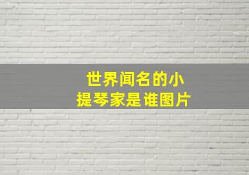 世界闻名的小提琴家是谁图片