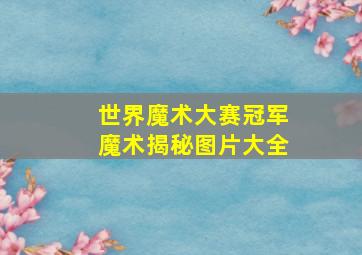 世界魔术大赛冠军魔术揭秘图片大全