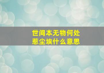 世间本无物何处惹尘埃什么意思