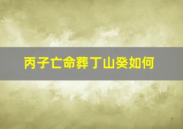 丙子亡命葬丁山癸如何