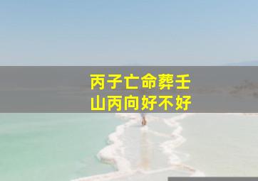 丙子亡命葬壬山丙向好不好