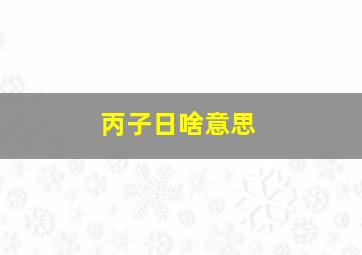 丙子日啥意思