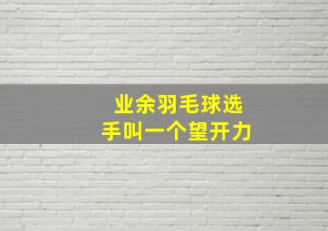 业余羽毛球选手叫一个望开力