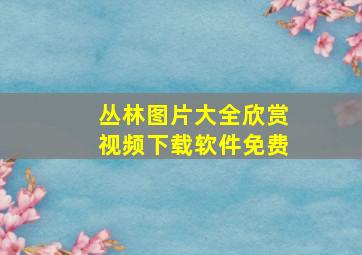 丛林图片大全欣赏视频下载软件免费