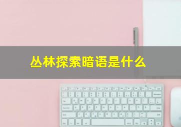 丛林探索暗语是什么