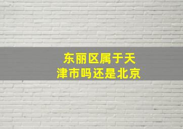 东丽区属于天津市吗还是北京