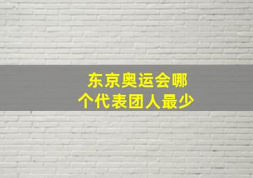 东京奥运会哪个代表团人最少