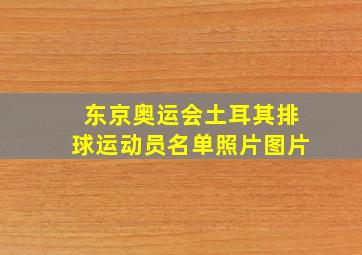 东京奥运会土耳其排球运动员名单照片图片