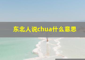 东北人说chua什么意思