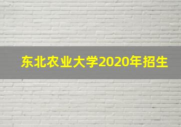 东北农业大学2020年招生