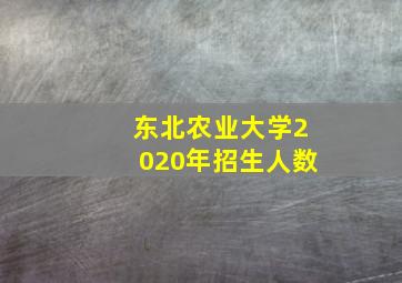 东北农业大学2020年招生人数