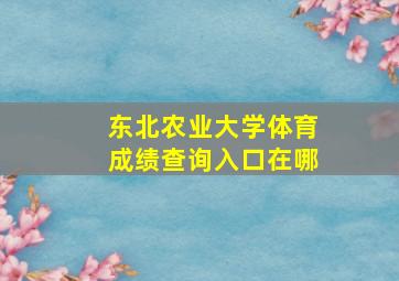 东北农业大学体育成绩查询入口在哪