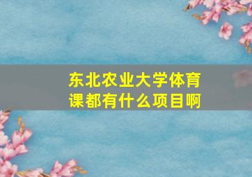 东北农业大学体育课都有什么项目啊