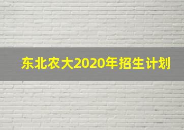 东北农大2020年招生计划