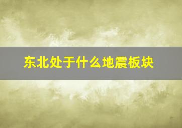 东北处于什么地震板块